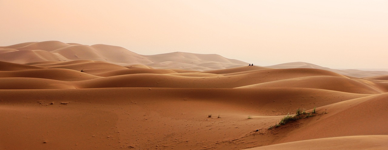 A camel caravan walking over sand dunes at sunset in Morocco